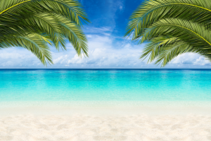 Plage tropicale avec ciel bleu et palmiers – ambiance de vacances sereines - checklist voyage à l'étranger